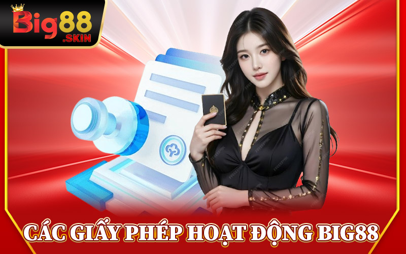 Các Loại Giấy Phép Hoạt Động Big88